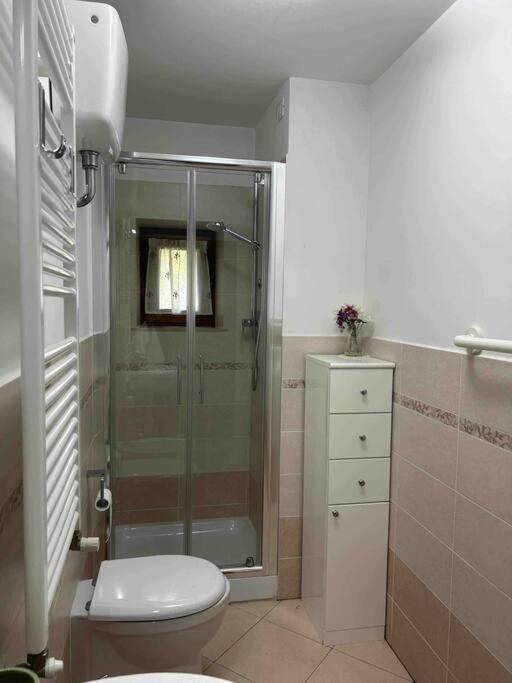 Villino La Rosa Antica Apartment Florence Exterior photo